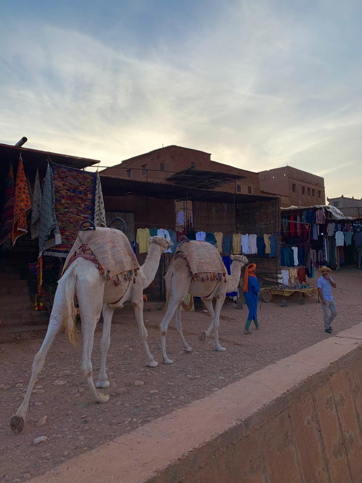 7B9F4B9E-9884-493D-8337-02B93993A486