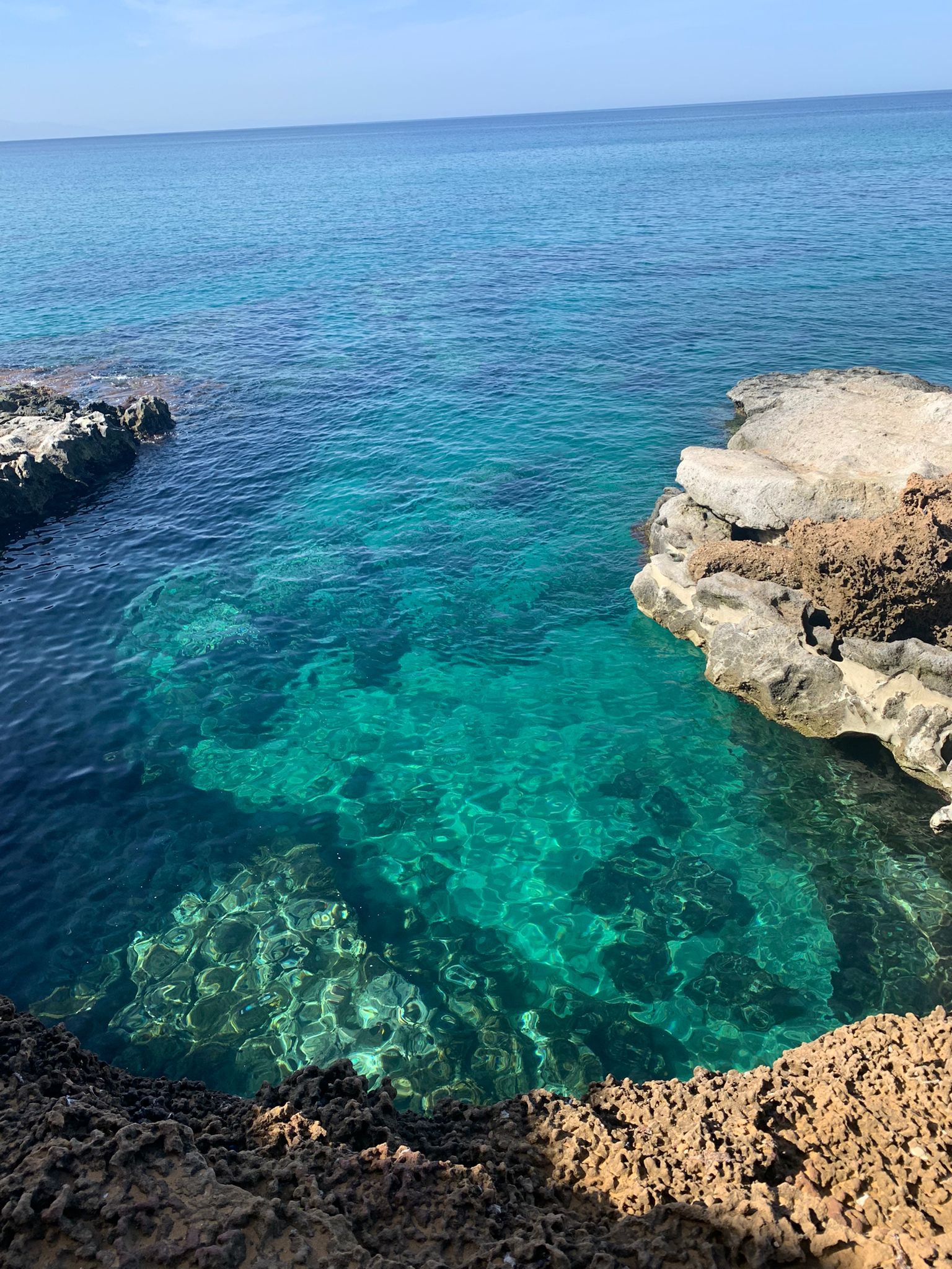 9C3141A2-A828-44AF-B07A-1472F479F23F